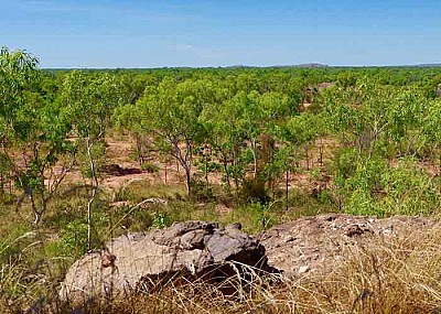 Jigija in the southern Gulf of Carpentaria