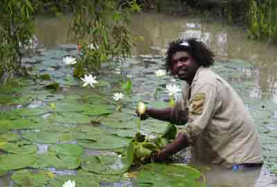Gangalidda ranger monitors native vegetation
